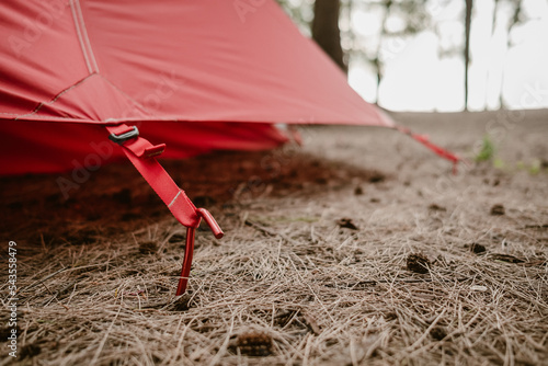 Close up of tent peg anchor on the ground tent, hook of tent, camping tent