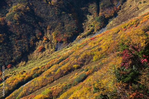 秋の山の風景 © Casey