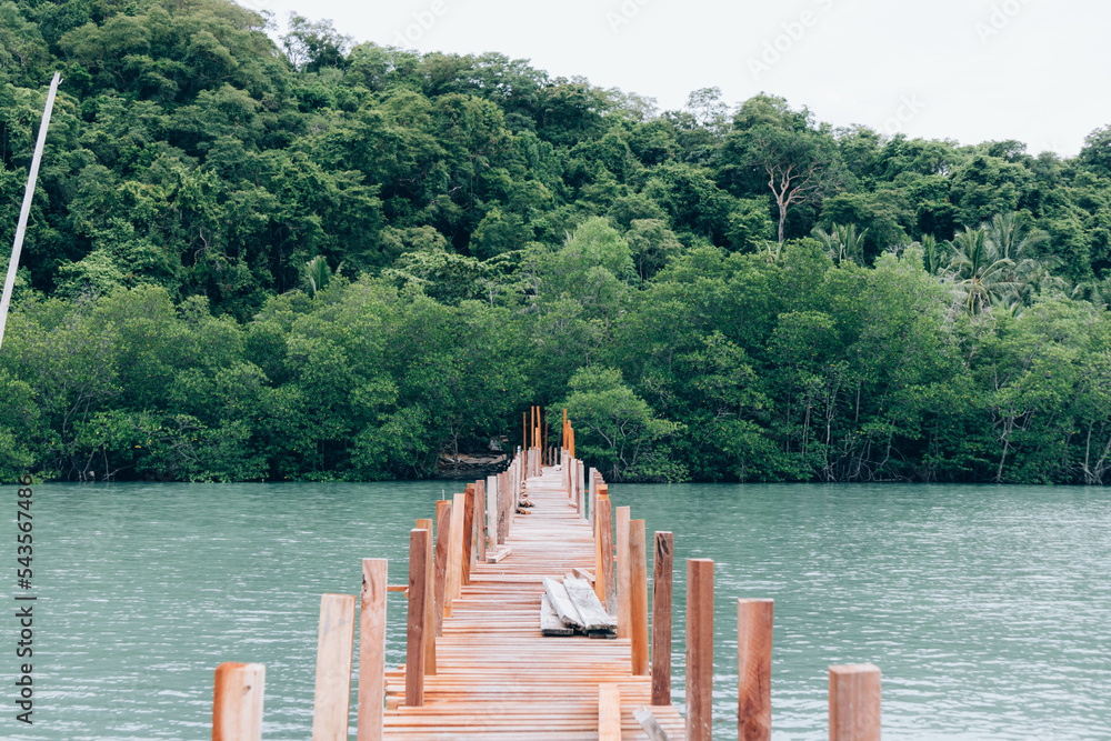 Fototapeta premium Wooden pier and mangrove forest at Nakhon si thammarat Thailand