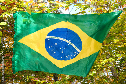 Brazil Flag