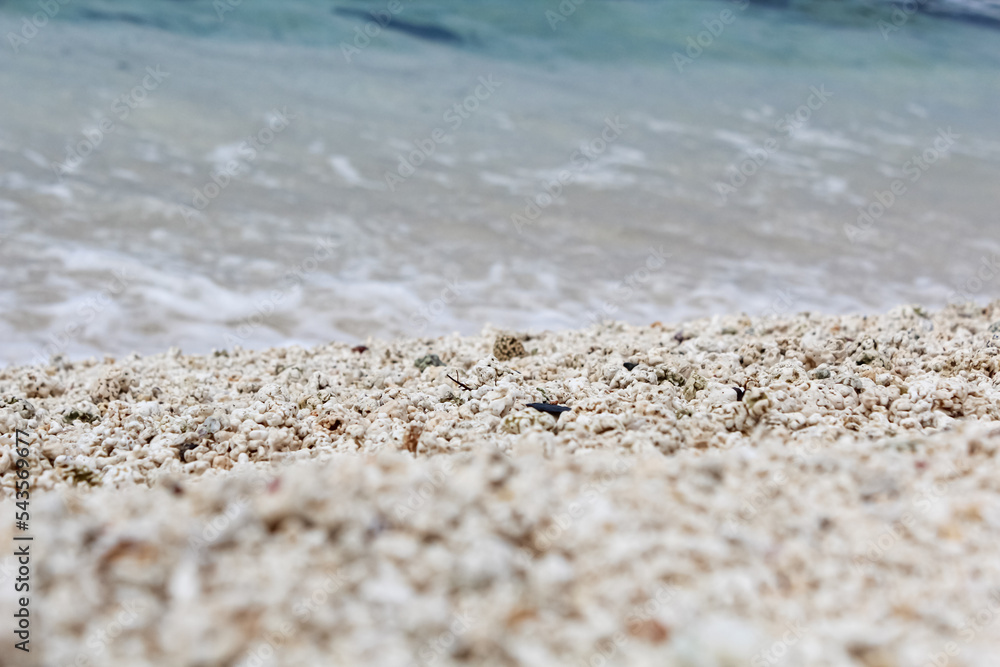 pebbles on the beach. stone and water pebbles on the beach. stone and water