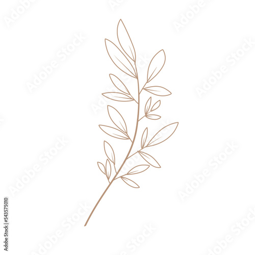 illustration png of brown leaves. Perfect for design of presentation  sosial media  banner  poster  etc