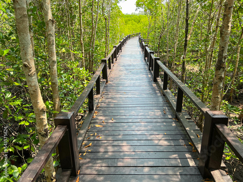 Closeup wooden bridge in the middle of mangrove forest, Petchaburi, Thailand. © Atiwat