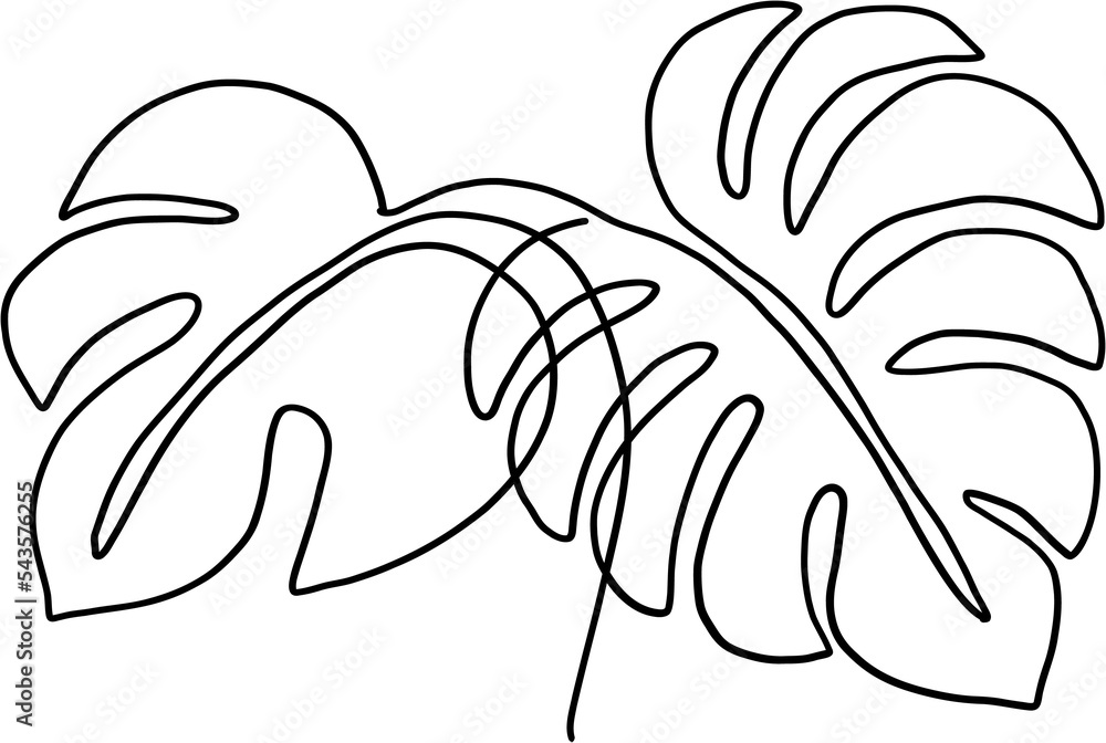 simplicity monstera plant freehand continuous line drawing simplicity monstera plant freehand continuous line drawing