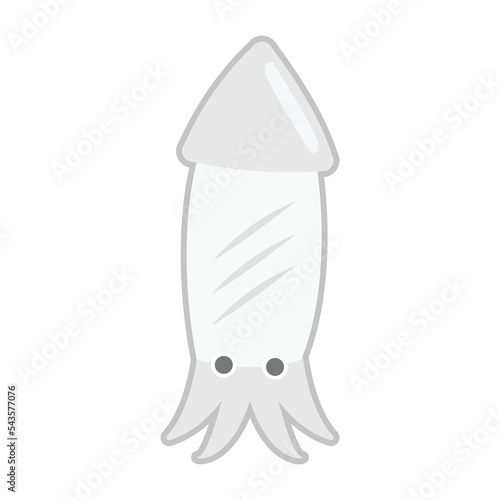 squid or spendid squid cartoon object on white background, vector illustration