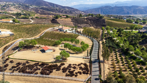 Landscape of the mountains, vineyards and rolling hills in California desert