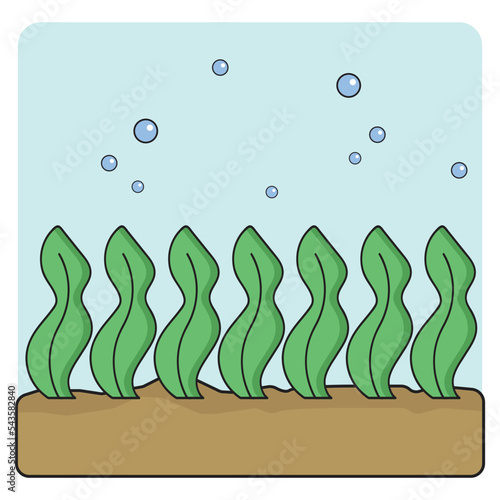 sea weed or sea grass in the sea cartoon object on white background, vector illustration