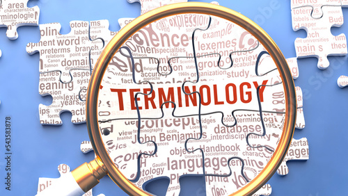 Photos Terminology as a complex and multipart topic under close inspection