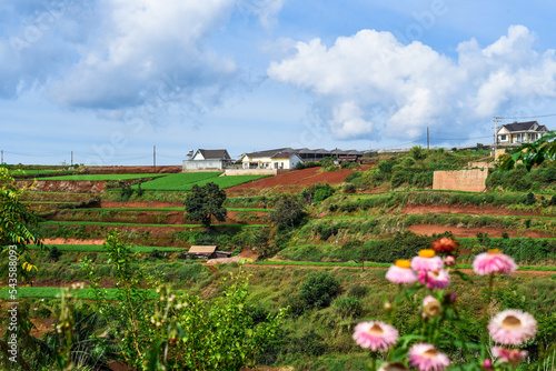 Hills and plantations of Da Lat city in Vietnam