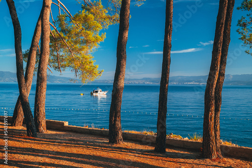 Picturesque sea Adriatic coast of Croatia. View on cape Jadran. Turquoise Mediteran sea and rocky shore with evergreen coniferous trees. Beautiful clouds in blue sky. Wonderful summer landscape