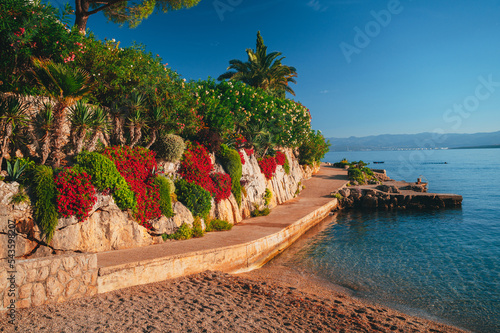 Picturesque sea Adriatic coast of Croatia. View on cape Jadran. Turquoise Mediteran sea and rocky shore with evergreen coniferous trees. Beautiful clouds in blue sky. Wonderful summer landscape photo