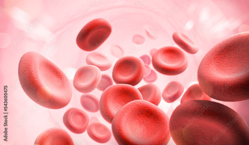 Red Blood Cell in an artery, Blood Flow, medical human health-care Concept Background, 3d rendering. Red Blood Cell in an artery, Blood Flow, medical human health-care Concept Background, 3d rendering.