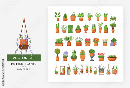 Collection of Potted Plants set vector illustration. Potted plants and flowers, cute decorations for indoor home, various hanging plants, etc. Fully editable, eps 10.