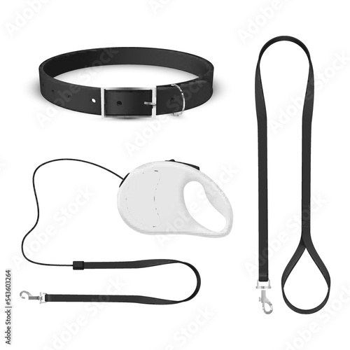 Collars and leathers for domestic animals set realistic vector illustration