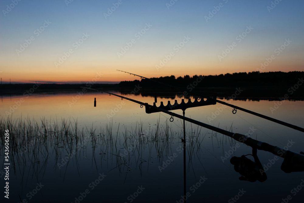 Fishing rods thrown into the water on special stands