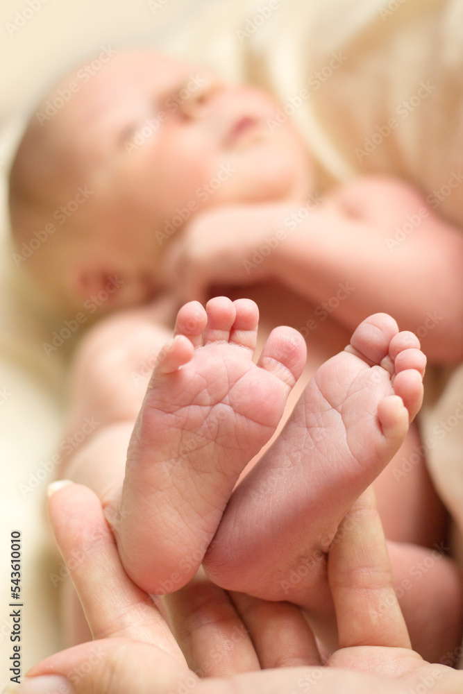 custom made wallpaper toronto digitalBaby feet in mother hands. Mom and her Child. Happy Family concept