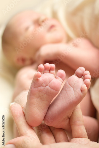 Wallpaper Mural Baby feet in mother hands. Mom and her Child. Happy Family concept Torontodigital.ca