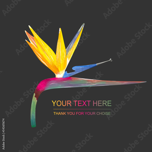 Vector logo with strelizia. Simple sign for flower shop, organic shop, restaurant with bird of paradise flower.