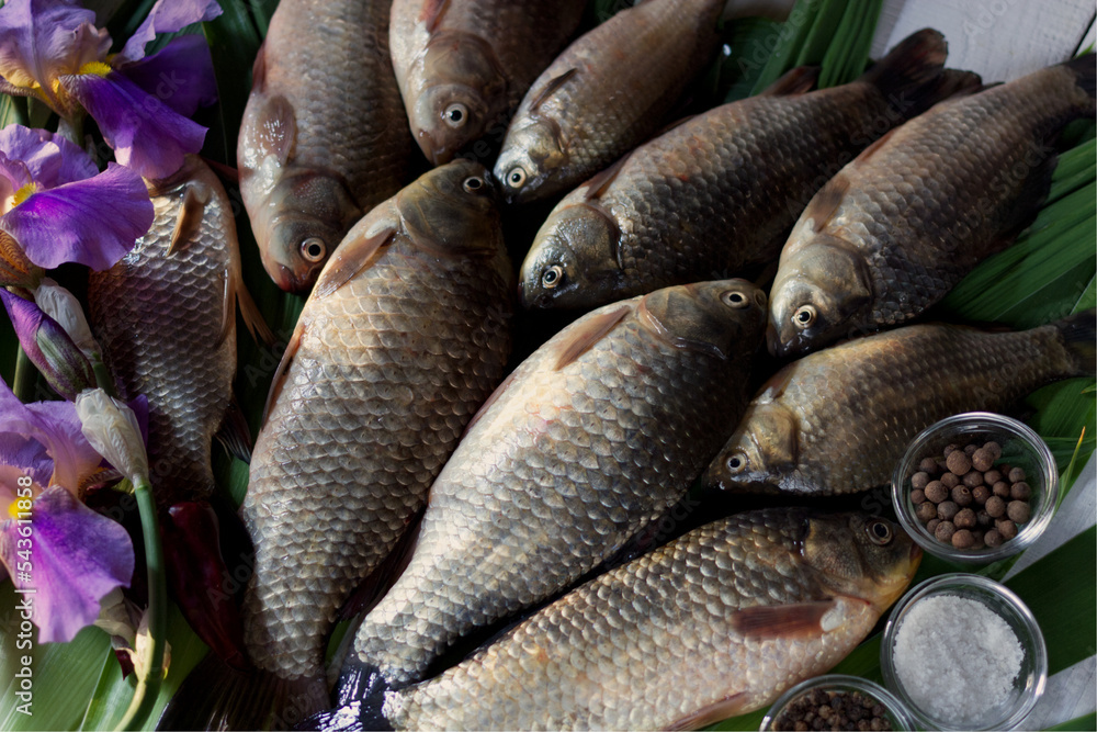Fototapeta premium fresh fish on the market