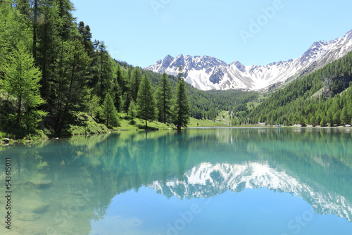 The wonderful Orceyrette Lake in spring with larch tree forest, Briancon, hautes alpes, french alps photo