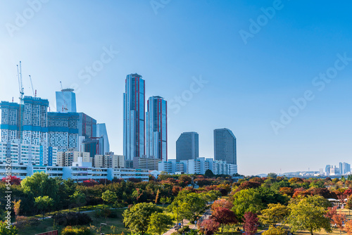 Aerial view of yeouido Hangang park in autumn season with skyscrapers and  modern buildings cityscape  Seoul city  Republic of Korea