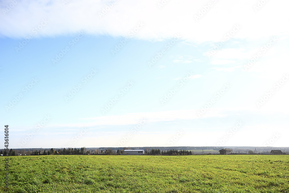summer road in the field landscape nature meadow summer road in the field landscape nature meadow