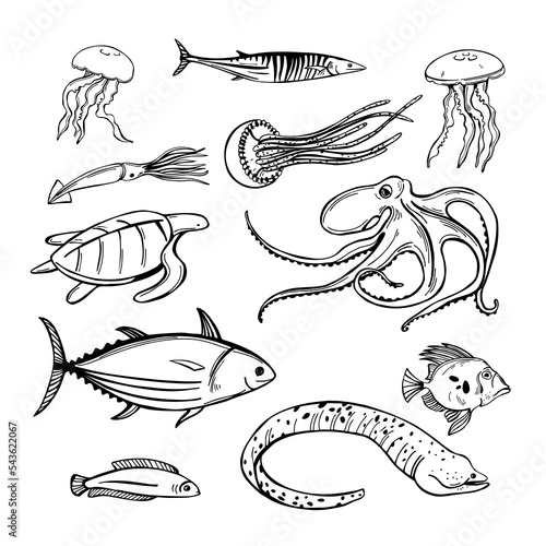 Fish and wild marine animals set.