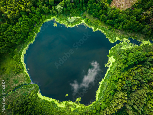 Green algae on the lake. Aerial view of nature, Poland.