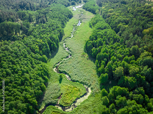 Aerial view of green forest...