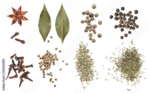 Tela bay leaf ,spices, cilantro, coriander, fennel, basil, carnation, star anise isolated on a white background