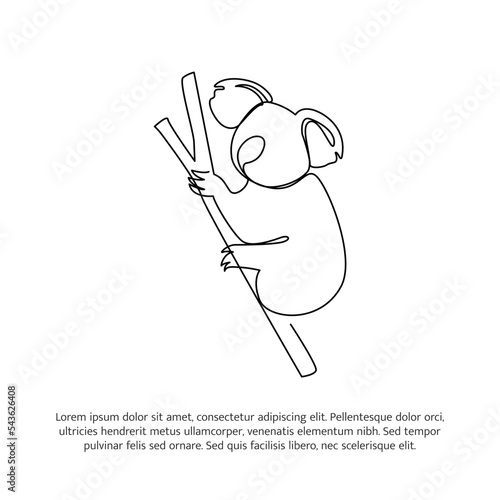 Koala line design. Wildlife decorative elements drawn with one continuous line. Vector illustration of minimalist style on white background.