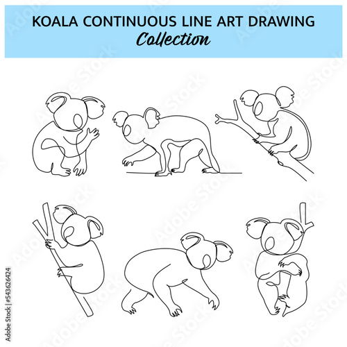 Set of koala line design. Wildlife decorative elements drawn with one continuous line. Vector illustration of minimalist style on white background.