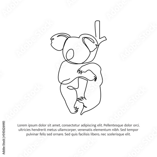 Koala line design. Wildlife decorative elements drawn with one continuous line. Vector illustration of minimalist style on white background. photo