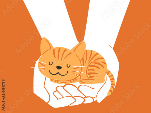 Hands Carry Sleeping Cat Il...