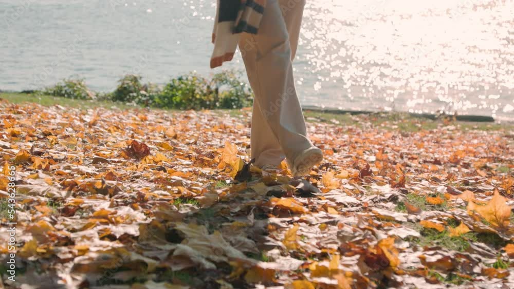 Woman walking through fall leaves, autumn scene, fall colors, happy place, nature park, slow motion. 4K 24PFS Woman walking through fall leaves, autumn scene, fall colors, happy place, nature park, slow motion. 4K 24PFS