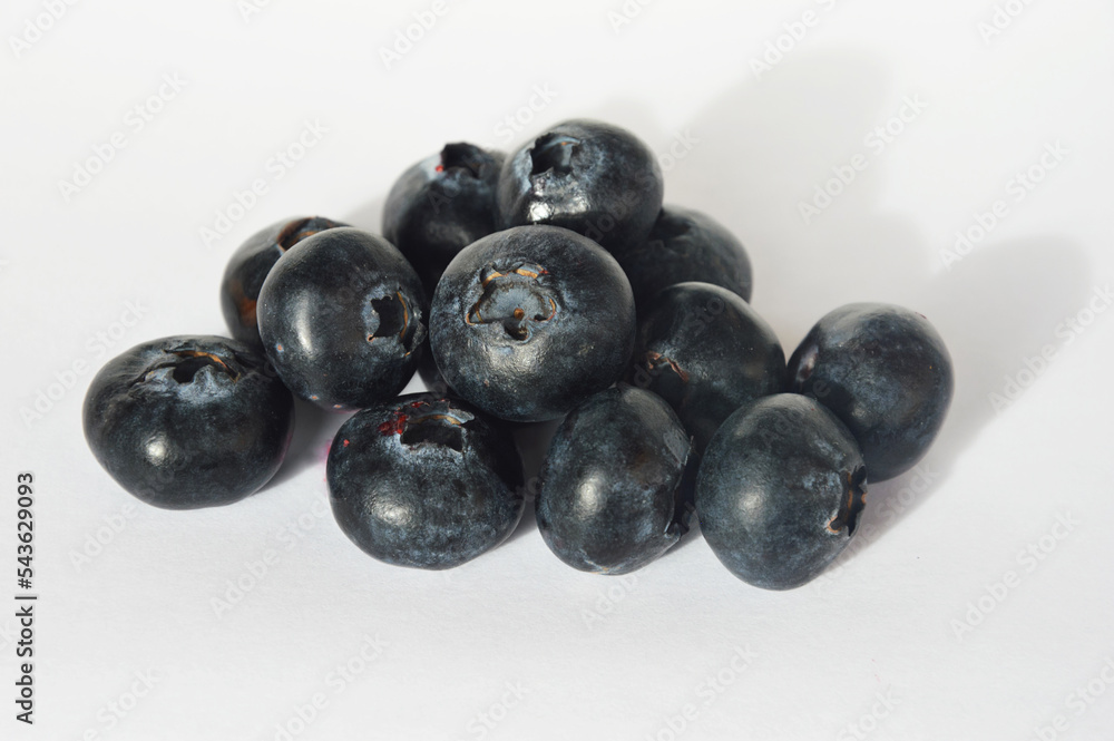 fresh, ripe blueberries. healthy berries. background for the design. fresh, ripe blueberries. healthy berries. background for the design.