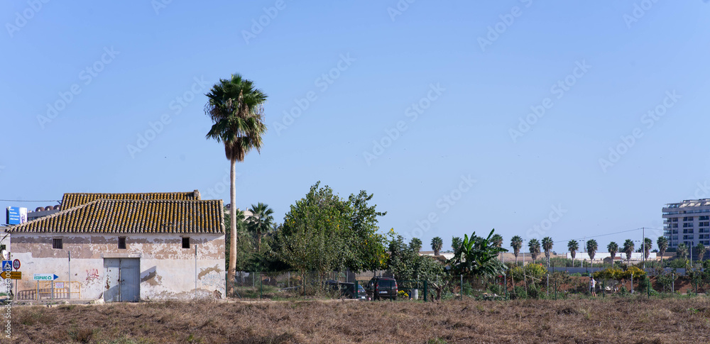 Huerta Valenciana en Alboraya