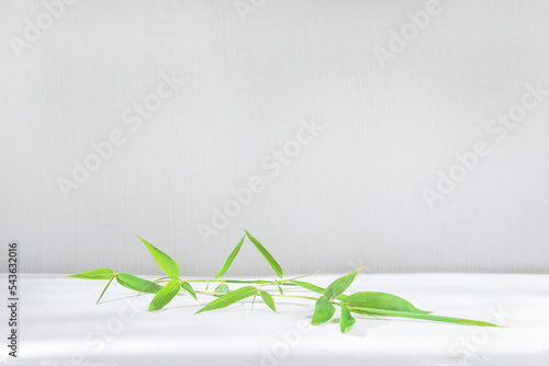 Minimalist product presentation with green bamboo leaves on white background; Template for merchandise presentation