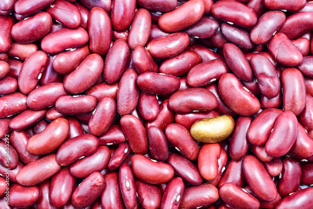 red beans background with isolated golden beans abstract red beans background with isolated golden beans abstract