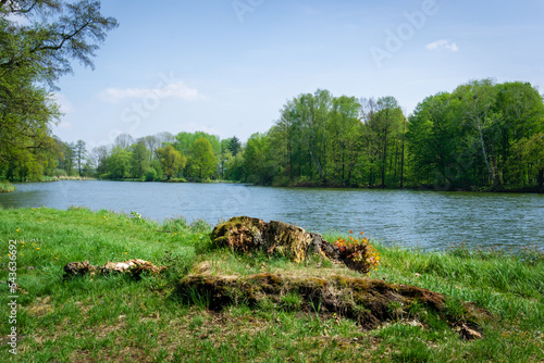 Park w Świerklańcu | Górny Śląsk, Polska photo