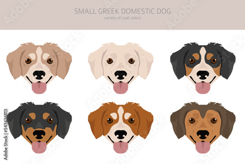 Small Greek Domestic dog clipart. All coat colors set.  All dog breeds characteristics infographic
