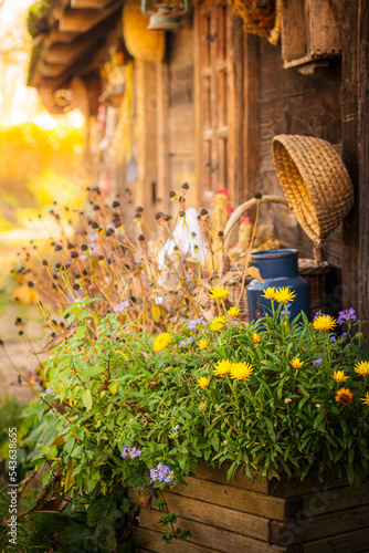 Autumn idyll in the countryside | Poland