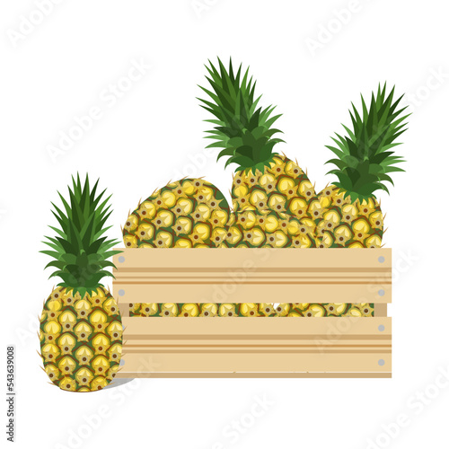 Ripe pineapples in a wooden box.Vector composition of fruits.