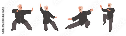 Collection of Old, elderly man Practicing Tai Chi and Qigong Exercise. Balance, equilibrium, hobby, sport, Healthy lifestyle concept.