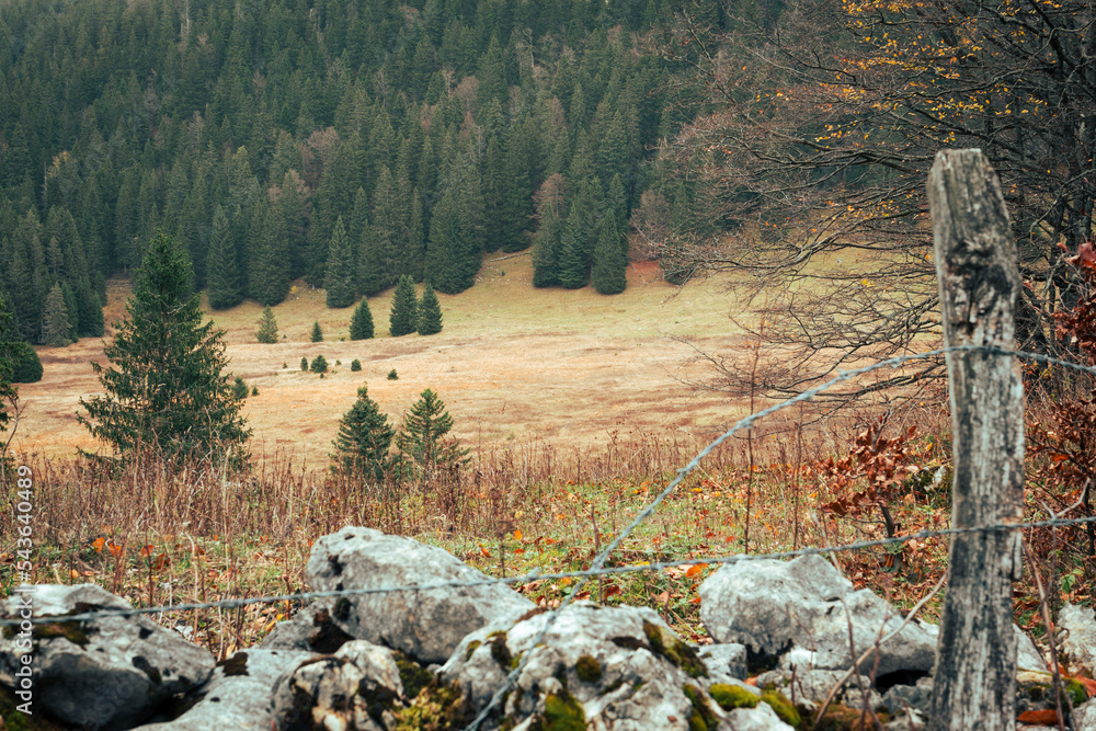 Fototapeta premium autumn in the mountains