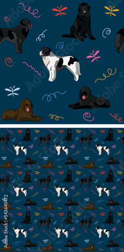 Seamless dog pattern, holiday texture. Navy dark background, colorful abstract elements. Packaging, textile, textile, fabric, decoration, wrapping paper. Trendy hand-drawn Newfoundland breed wallpaper
