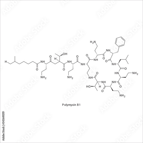 Polymyxin B1 flat skeletal molecular structure Nonribosomal peptide antibiotic drug used in  treatment. Vector illustration.