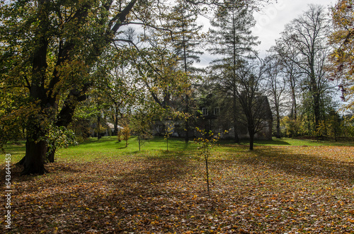 Park w Iwoniczu koło dworu Załuskich  photo