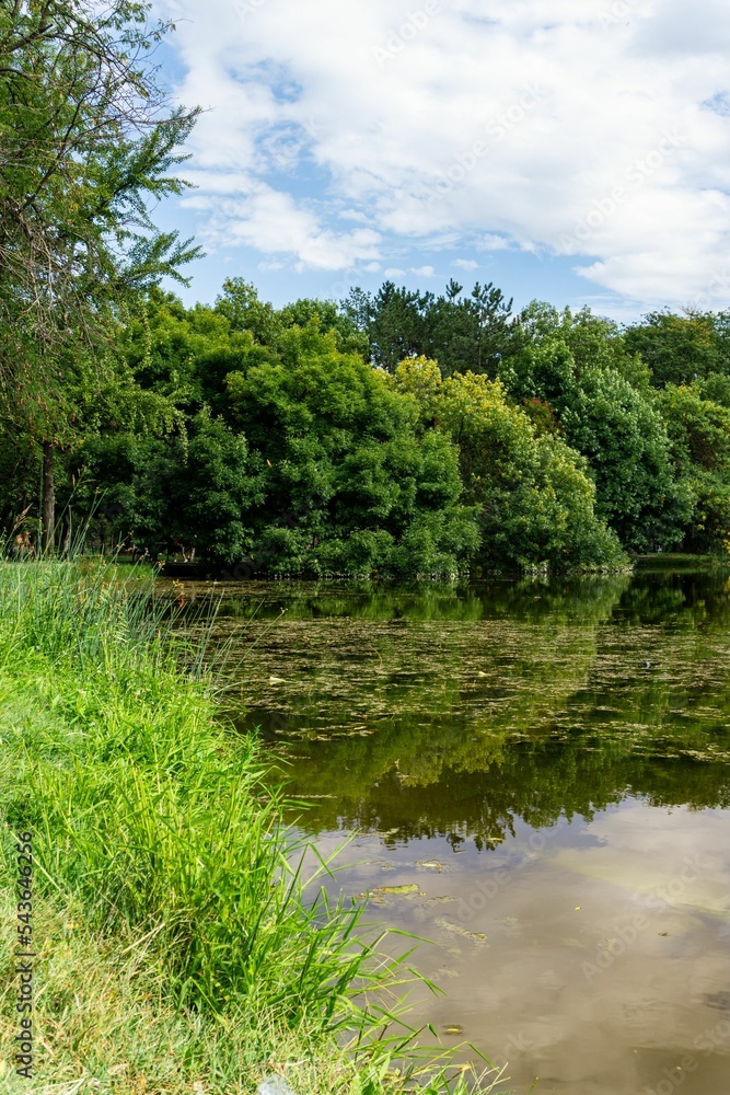 Scenic view of a lake with trees reflecting on its surface on a sunny day Scenic view of a lake with trees reflecting on its surface on a sunny day