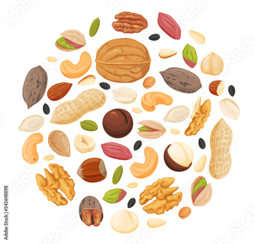 A set of different nuts and seeds. Healthy and organic food. Vector illustration